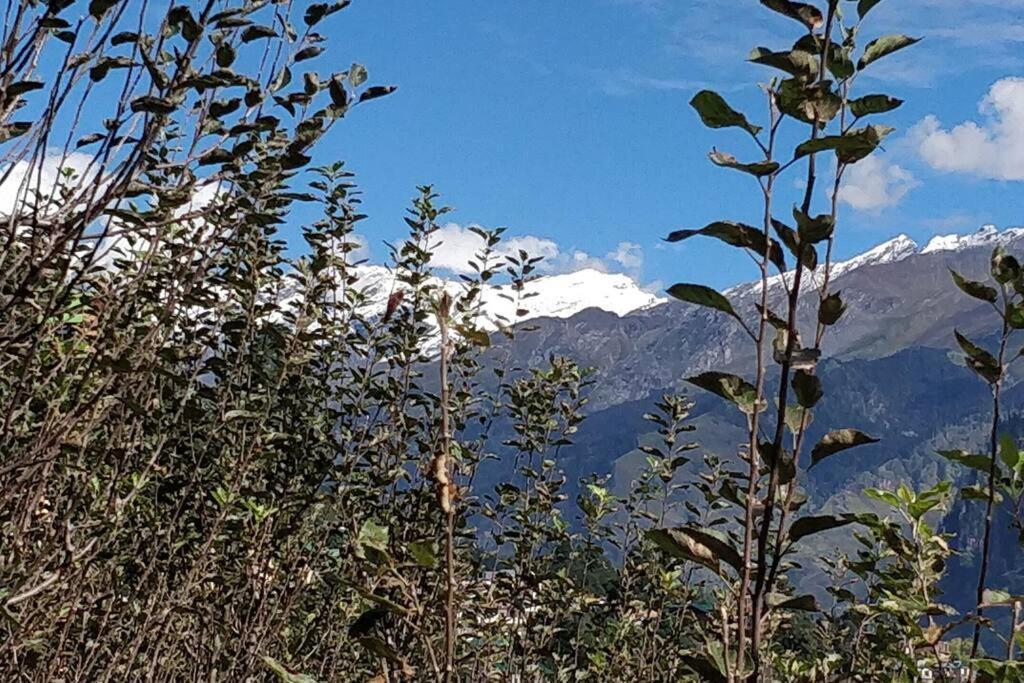 Aroma Taru Villa / Cottage ,Manali Exterior foto